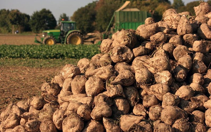 Transport de produits agricoles